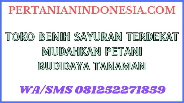 Toko Benih Sayuran Terdekat Mudahkan Petani Budidaya Tanaman
